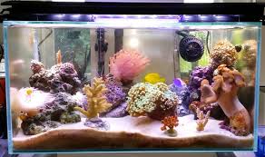 The 10 Best Led Aquarium Lighting 2020 Guide Reviews