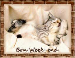 Résultat de recherche d'images pour "bon week end chat humour"