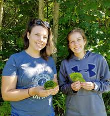 Annual Report 2015~2016