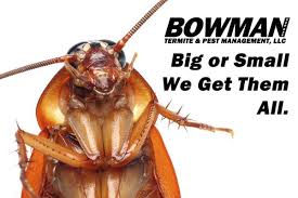 Whether it's a complete termite treatment, scorpion sealing, or common household pest problems, varsity has you covered. Bowman Termite Pest Management 469 Kalanikoa St Hilo Hi Pest Control Mapquest