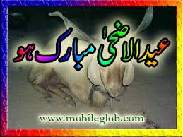 Image result for bakra eid funny images