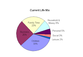 Check My Balance On My Chase Debit Card Life Balance Pie Chart