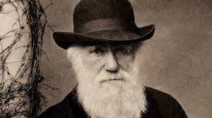 The Bigotry of Man: "Darwin's views