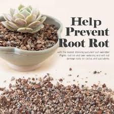 Contacted hoffman and they told me that this soil mix had to on the shelf a long time. 12 Need To Buy Ideas Succulents Planting Succulents Succulent Soil
