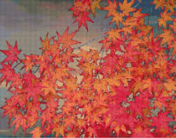 Free shipping on orders of $50 or more* free shipping on orders $50+*. Ann Logan 10 Free Patterns Online Autumn Leaves 106
