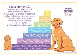 In the map above, you can see that zyg and choppy are located at hydro 16. Socialisation Is The Developmental Process Whereby Puppies Familiarise Themselves With Their Constantly Changing Puppy Socialization Puppy Development Puppies