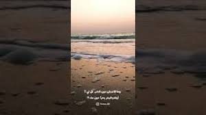 وما الانسان دون الحب قل لي أيغدو البحر بحرا دون ماء Youtube