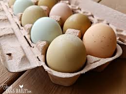 Oct 28, 2020 · our current egg donation compensation for your time, commitment and services is $8,000 on average for a completed egg donor cycle (i.e. 7 Tips To Help You Sell Your Farm Fresh Eggs For More Money Fresh Eggs Daily