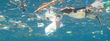 البلاستيك خطر يداهمك خلسة بوابة الاشتراكي