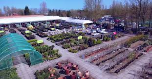 Azure Garden Centre Cramlington What S On North East