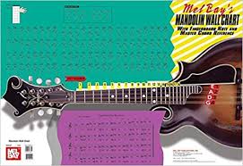 amazon com mel bays mandolin wall chart 9780786668724