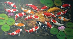 Ảnh cá chép vượt vũ môn. Y NghÄ©a Tranh Ca Chep VÆ°á»£t VÅ© Mon Va Cá»­u NgÆ° Quáº§n Há»™i Trong Phong Thá»§y