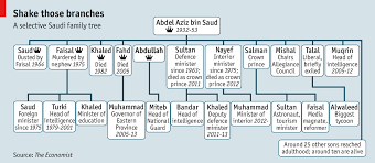 The Saudi succession - Next after next… | Middle East & Africa | The  Economist