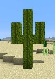 Cacti canyon is a beautiful location in minecraft dungeons. Saguaro Cactus Hexxit Wiki Fandom