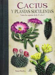 Elmer y rose han creado una familia perfecta entre los enormes cactus de un remoto paisaje desértico, un hogar lleno de amor para sus cinco martha leigh llega a mount mellyn para ocuparse de la educación de alvean, hija del altivo y despótico connan tremellyn y de alice, muerta en. Cactus Y Plantas Suculentas Todas Las Especies De La A A La Z Amazon Es Penalva Nuria Equipo Editorial Libros