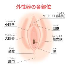 ウィクリニック