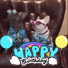 These happy birthday friend messages range from beautifully crafted birthday wishes for best friends and friends you've known for a long time to short and happy birthday to my crazy, fun, fabulous best friend! Funny Birthday Gifs Tenor