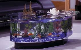 Google Image Result For Http Www Coolpetproducts Com Storage Post Images Fish Coffee Table Fish Tank Coffee Table Aquarium Coffee Table Hexagon Coffee Table