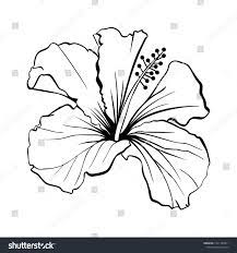Pin On Line Drawing Of Flowers