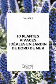 Terrain intime avec arbre mature, ainsi qu'avec accès à la. 10 Plantes Vivaces Ideales En Jardin De Bord De Mer