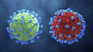 The world health organization (who) named it the delta variant on 31 may 2021. Coronavirus Dahmen Grune Im Herbst Wird Die Delta Variante In Deutschland Dominant Sein
