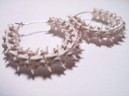 Snake Vertebrae Animal Bone Earrings Snake Earrings Vertebrae Jewelry Real Animal Bone Hoop Earrings 29 99 V Vertebra Jewelry Bone Jewelry Taxidermy Jewelry