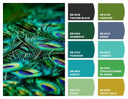 Green or verde uba tuba. Peacock Green Wall Colour Combination Novocom Top