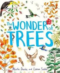 The Wonder Of Trees Hardback Nicola Davies Picture Book Wonder Who Book