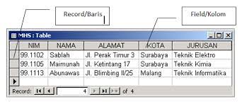 Pengertian database, manfaat database, jenis database, contoh database, database adalah struktur data database pada table. 3 Basis Data Ragam Model Struktur Basis Data Bahan Ajar Teknik Komputer Dan Informatika Teki