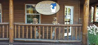 Check spelling or type a new query. Veterinarian South Lake Tahoe Blue Lake Animal Care Center