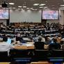 Redes territoriais de ecologia integral estabelecem diálogos com o Relator sobre Povos Indígenas e a Missão Permanente da Espanha junto à ONU
