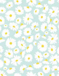 Pin On Background Wallpaper Daisy Wallpaper Cute Flower Wallpapers Spring Wallpaper
