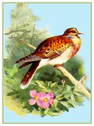 Here you can convert your own photos/pictures to a crossstitch chart. Orenco Originals Pair Of Kingfisher Birds Thorburn Counted Cross Stitch Pattern Patterns Cross Stitch Lindar Com