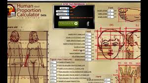 human proportion calculator for artists