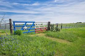 Foreign for profit corporation entity state: Showery Insurance Financial Services A Family Owned Insurance Agency Providing Exceptional Service To Texas Families Since 1989