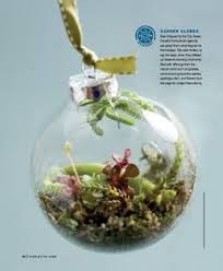 Repurposed Ornament Terrarium1 Glass Ornaments Diy Mini Terrarium Terrarium
