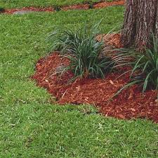 Extended periods of lack of water will cause the grass to turn brown and become crispy and brittle. Centipede Grass Seed Warm Climate Grass Seed