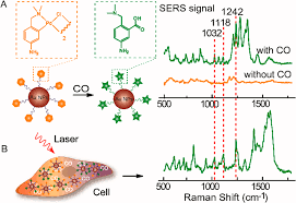 How to detect carbon monoxide. Sers Detection Of Intracellular Carbon Monoxide Co A Scheme Of The Download Scientific Diagram
