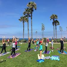 We did not find results for: Group Wellness Activities In Laguna Beach La Vida Laguna