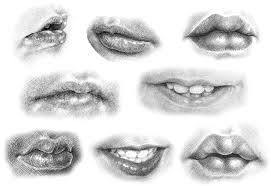 First draw the ten initial shapes and draw a lip line in the middle of the mouth. 6 1 A2 Sketch And Shade A Baby S Mouth Drawspace