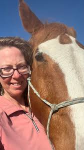 Therapy horse behavior issues: physical causes