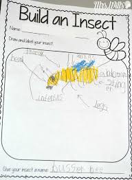 It is played by dragging letters,vocabularies, or pictures of insects to match. Insect Lesson Plans For Kindergarten