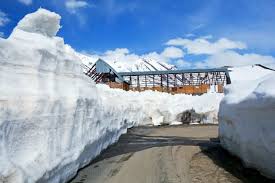 Image result for image of ROHTANG IN INDIA
