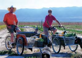 I'm to build a cargo bike, but my budget is quite limited. Make A Handy Diy Cargo Bike Countryside
