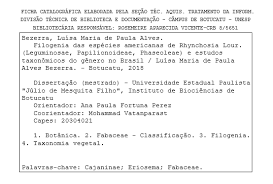 Image result for Rhynchosia baumii