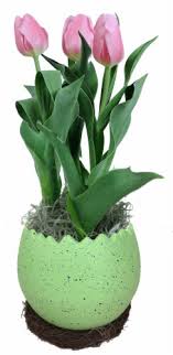 Check spelling or type a new query. Assorted Bulbs In Ceramic Easter Egg Pot 4 5 Inch Pot Kroger