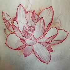 Japanese Lotus Flower Drawing Lotus Flower Tattoo Design Japanese Flower Tattoo Lotus Flower Drawing