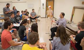 Kinesiology Review, Volume 7, 2018, Issue 4: Promoting Quality  Undergraduate Education in Kinesiology