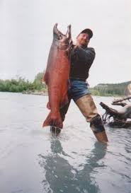 24 Best Chinook Salmon Images Salmon Salmon Fishing Fish