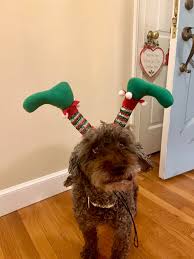 Christmas Eve, Even Better